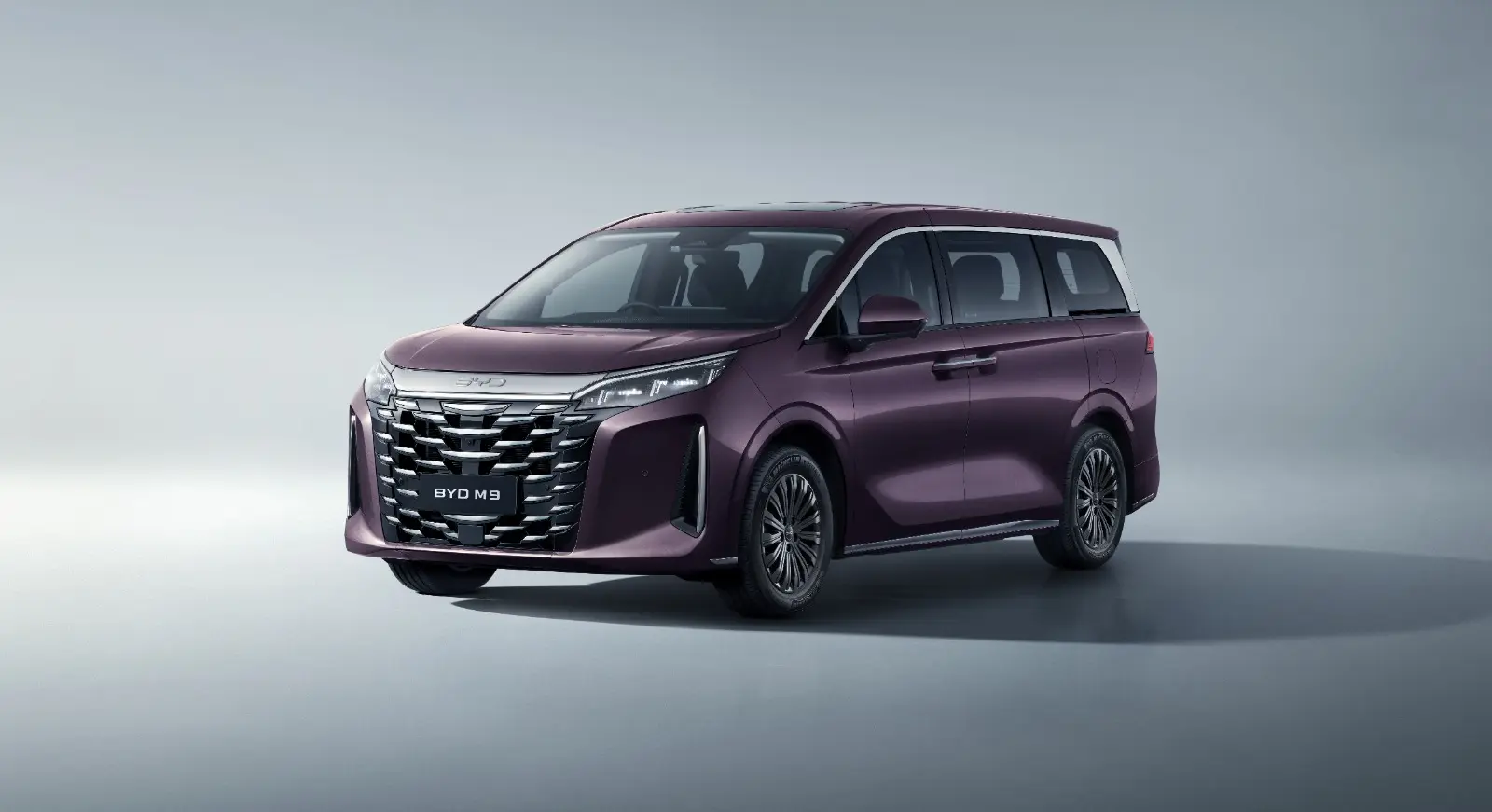 BYD M9 Image 2